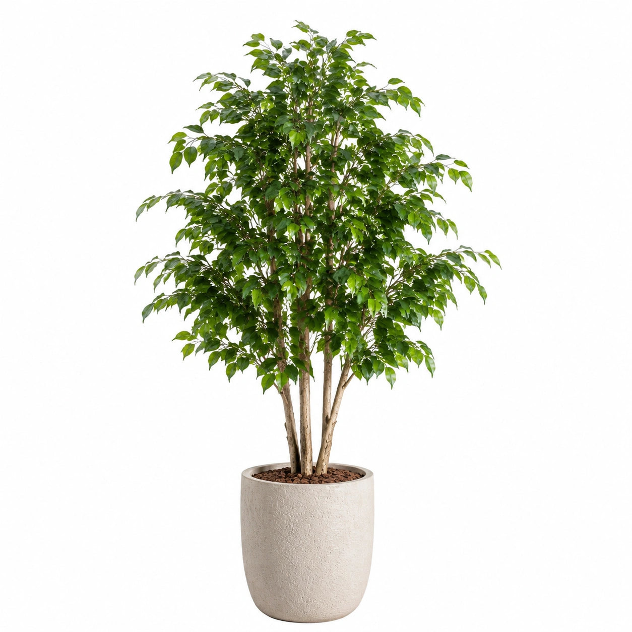 Künstlicher Ficusbaum 180 cm Kunststoff Grün im Topf für Innenräume