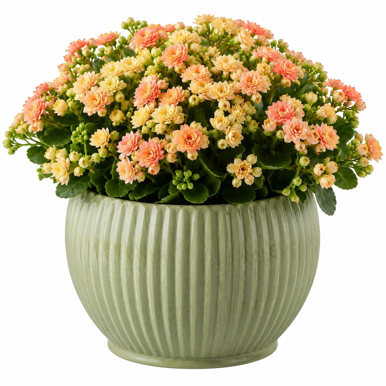 Künstliche Topfpflanze 38 cm Kunststoff Rosa Gelb für Innenräume mit Keramiktopf